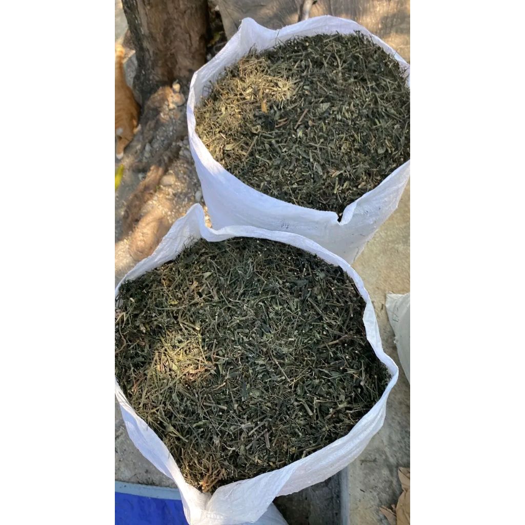 

Sambiloto SAMBIROTO Cacah kering 1000gram / 1kg