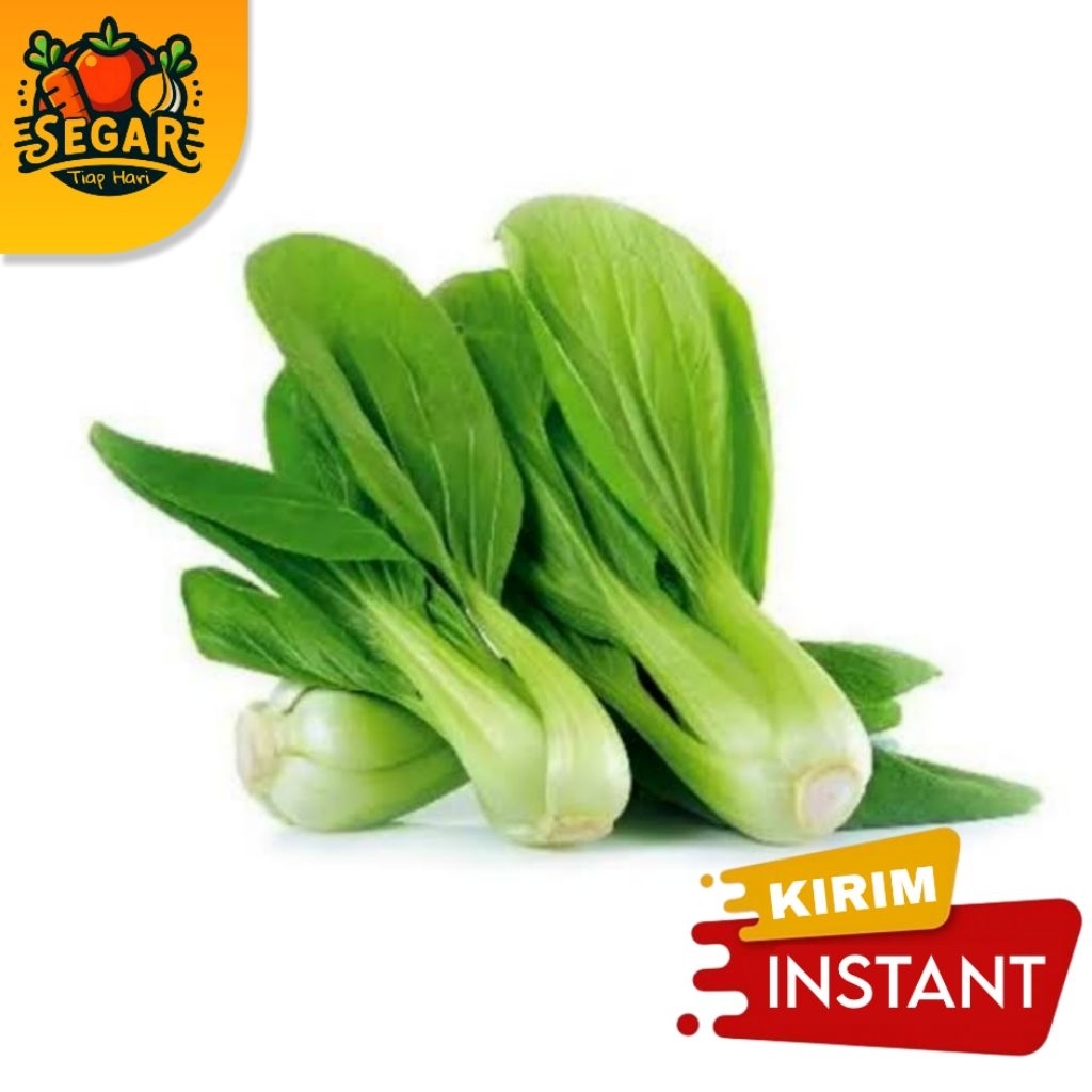 

SEGAR TIAP HARI | POKCOY | PAKCHOY SEGAR 500GR