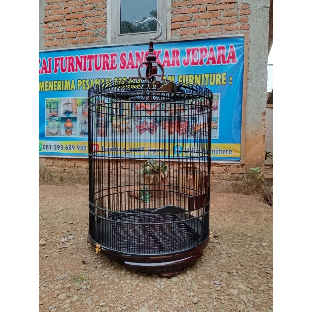 sangkar murai tebok ceper jati