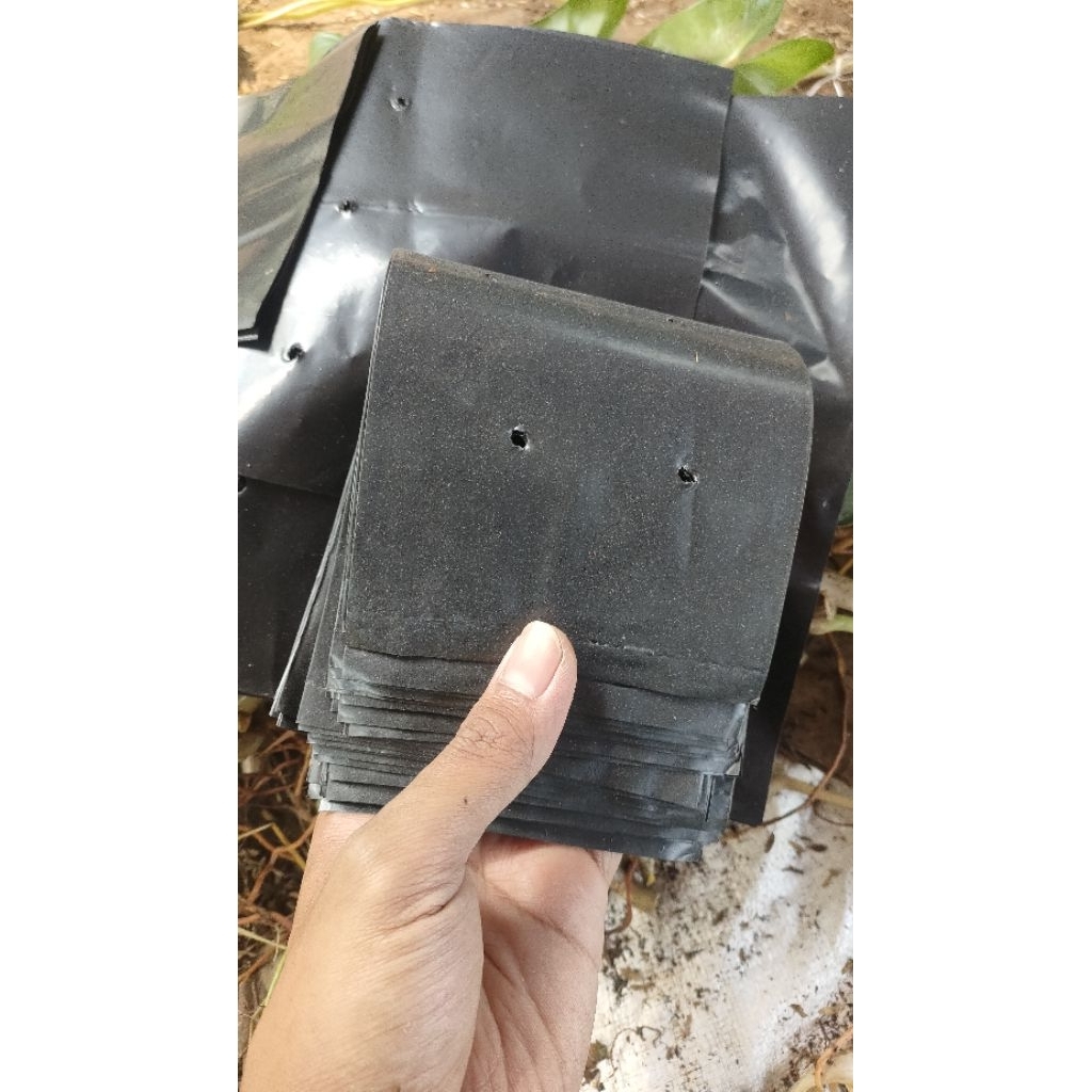 Polybag /wadah tanaman per kg murah