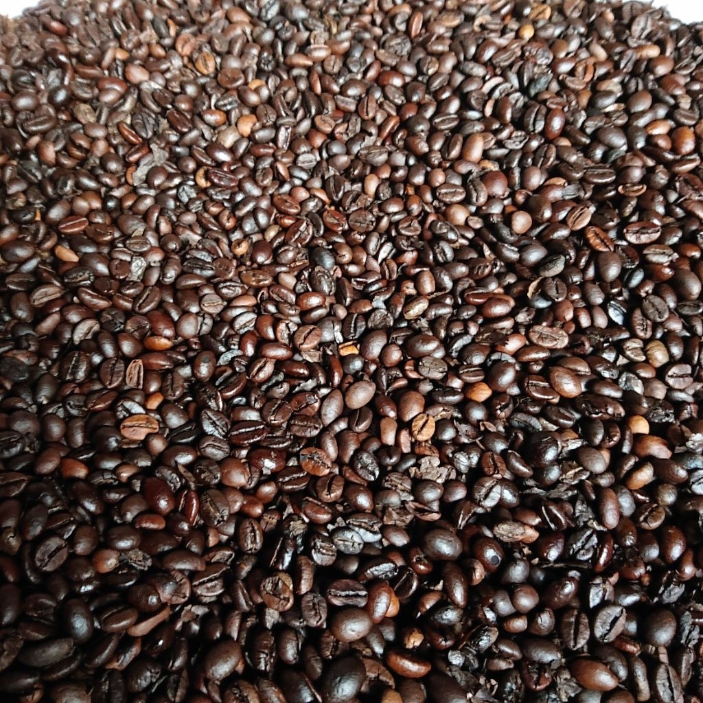 

Kopi Roast Bean Robusta Bengkulu Organik & Natural Dry