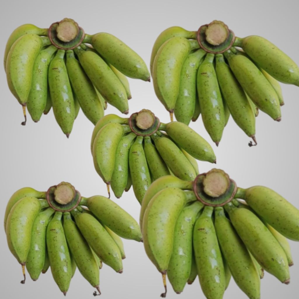 

pisang uli 5 sisir mengkel gede banget