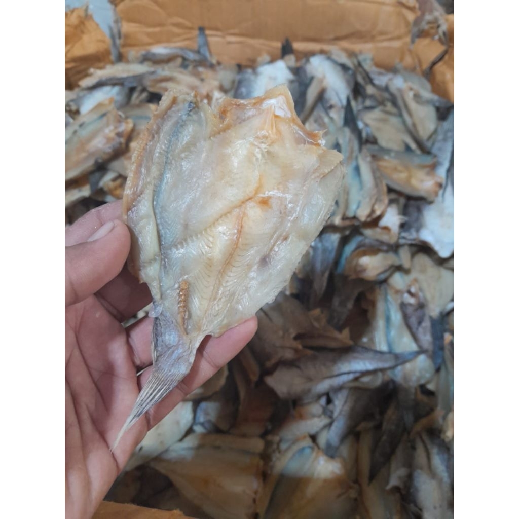 

Ikan Asin Gabus – Gurih Khas, Tahan Lama, Siap Masak