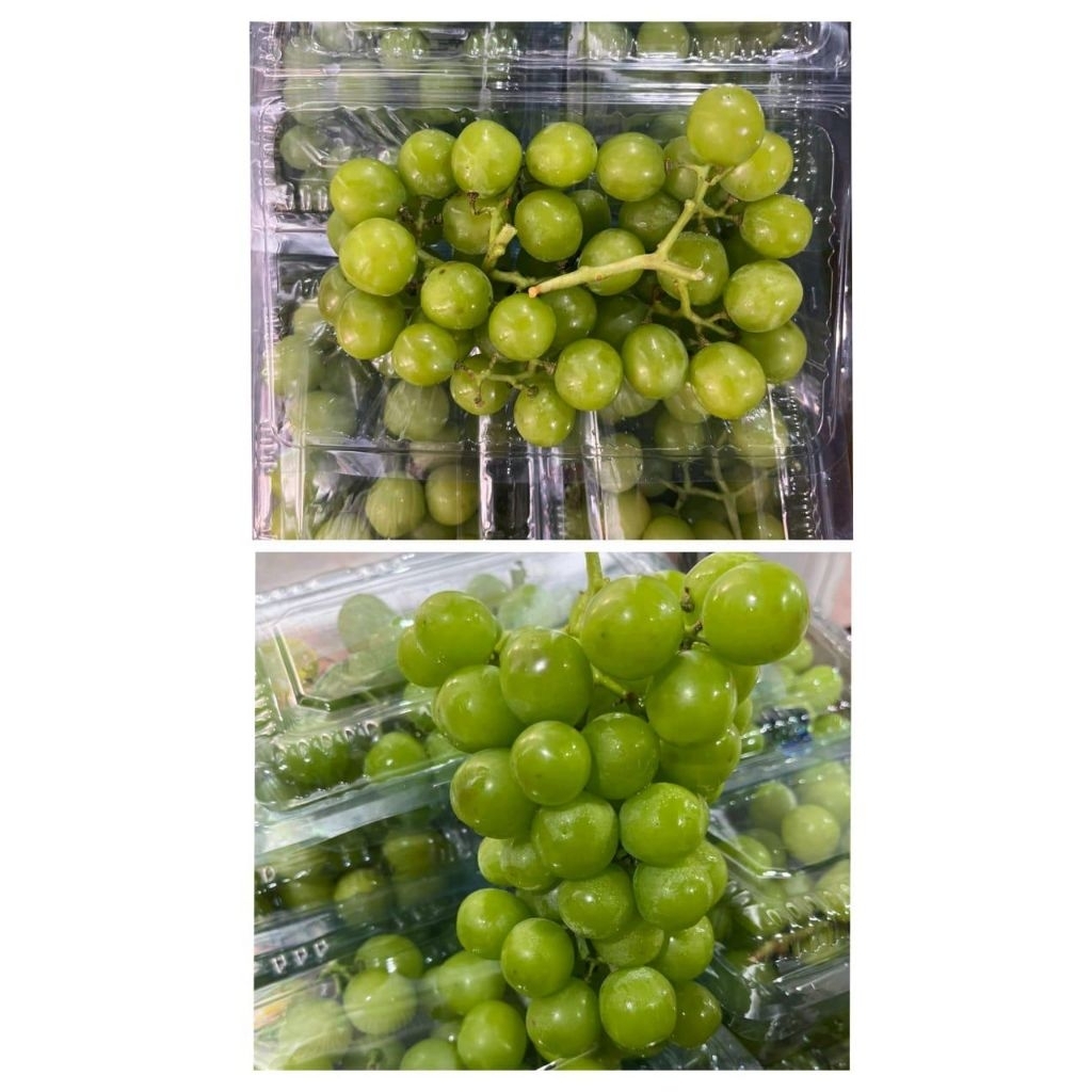 

Anggur Shine Muscat 500 gram