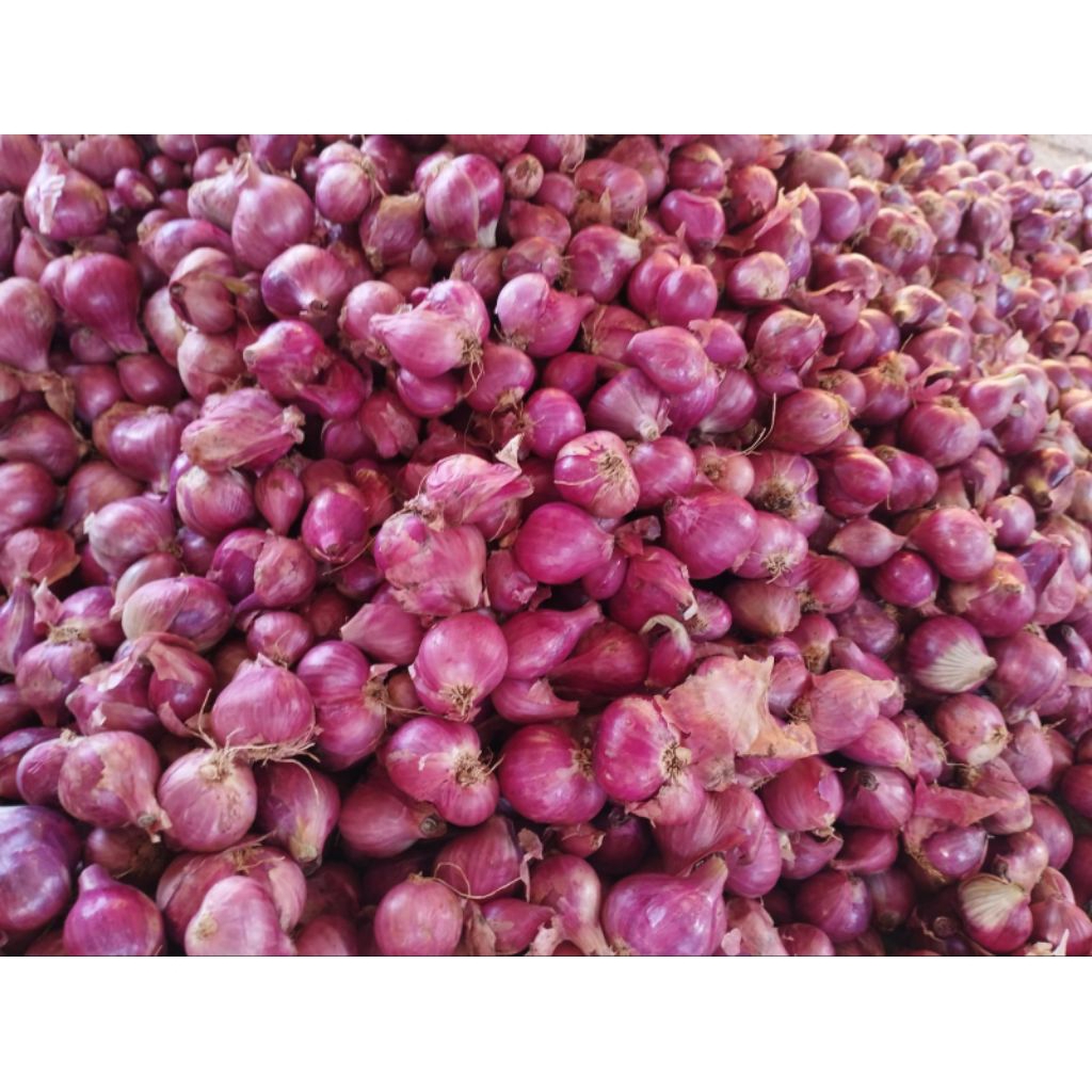 

bawang merah 500g
