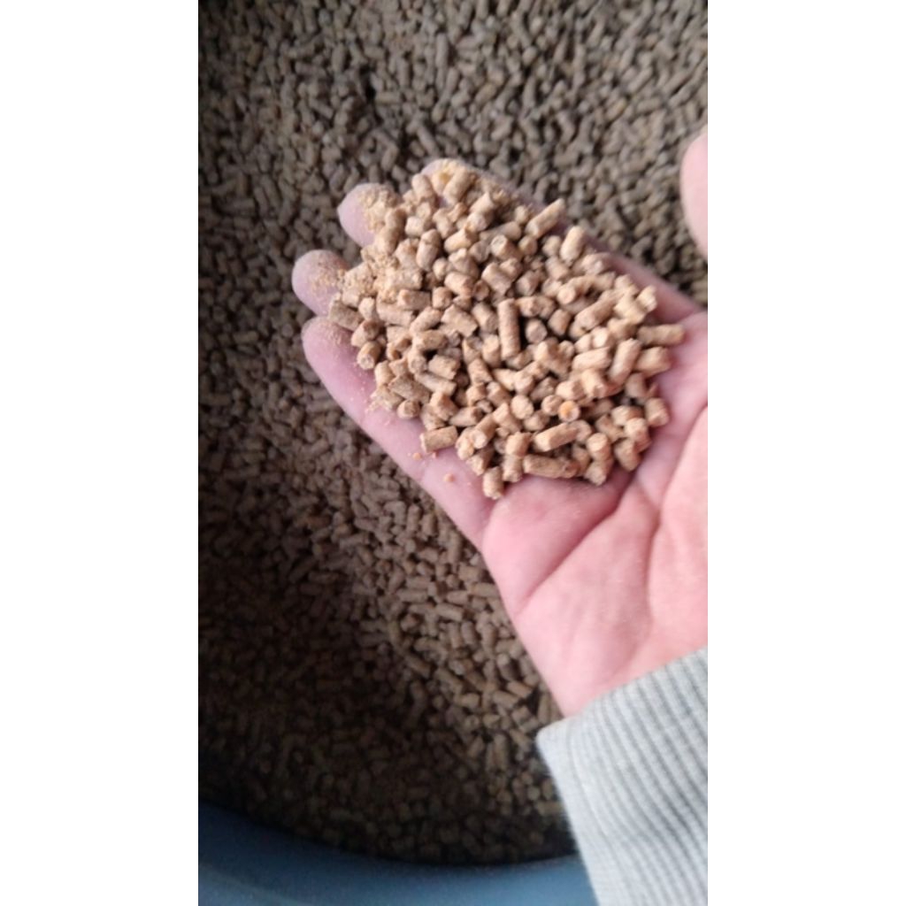 por ayam broiler merek pokpand