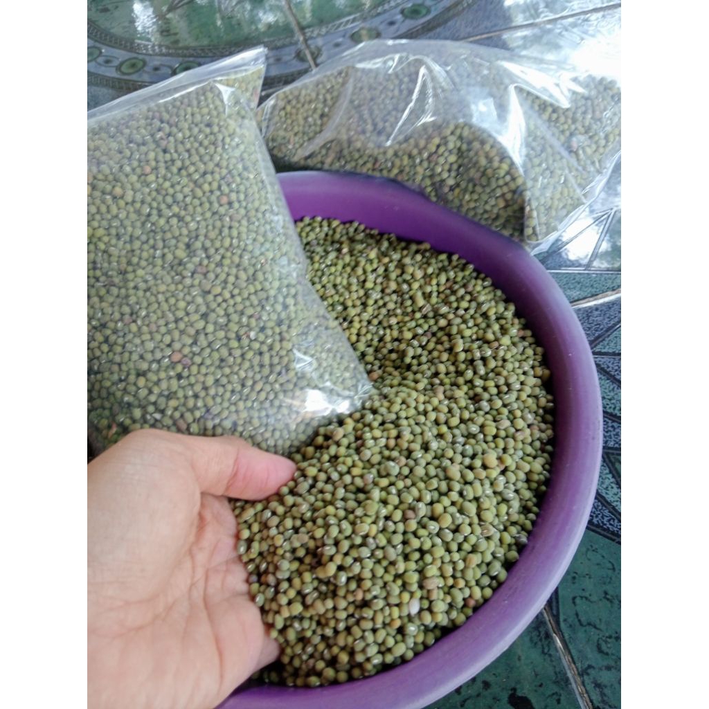 

1Kg Kacang hijau bubur | kacang ijo konsumsi
