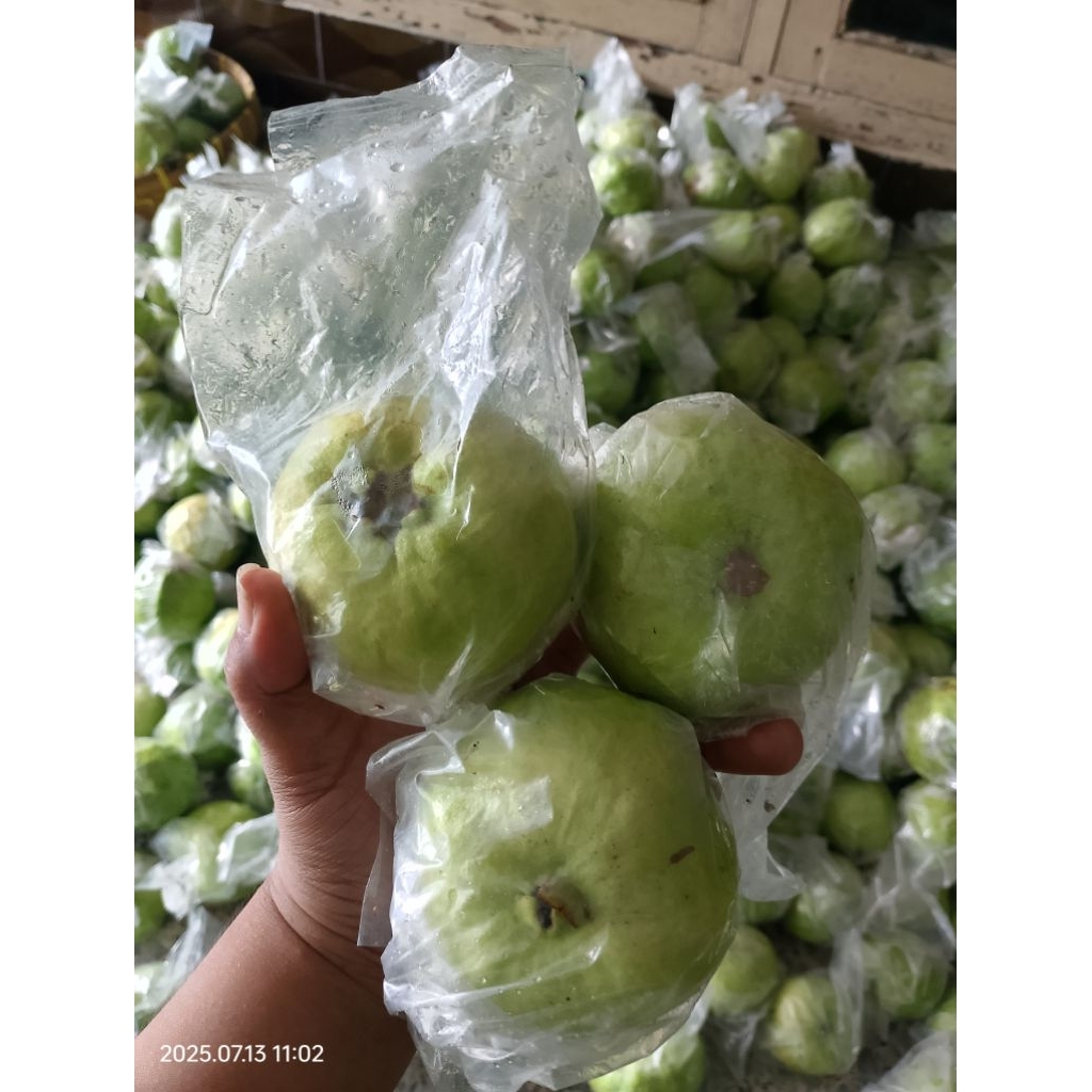 

Jambu Kristal 1 KG isi Sedang 5,6