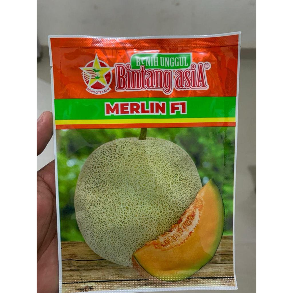 BENIH MELON MERLIN F1 20gram