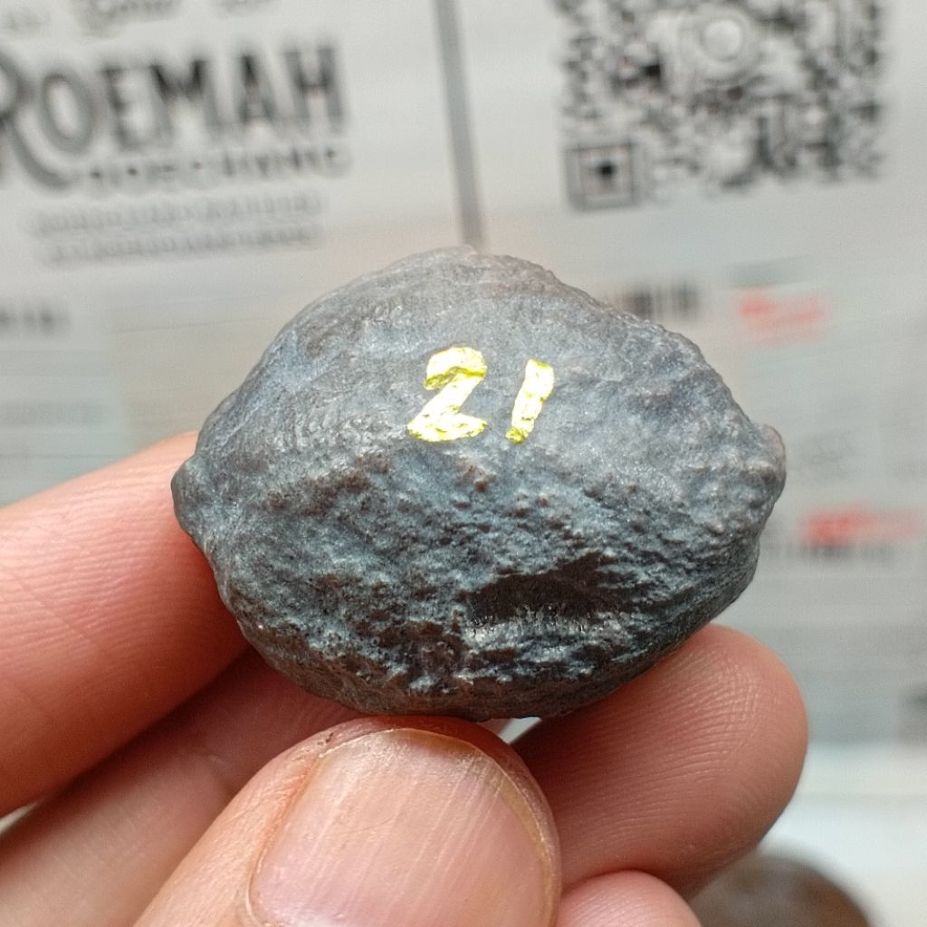 Muncang Adu SB x Manohara kode 21