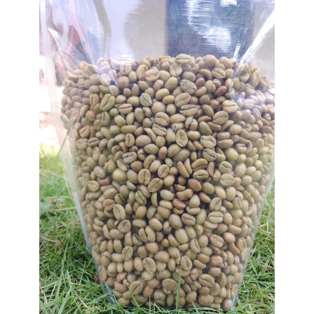 

kopi green Exelsa