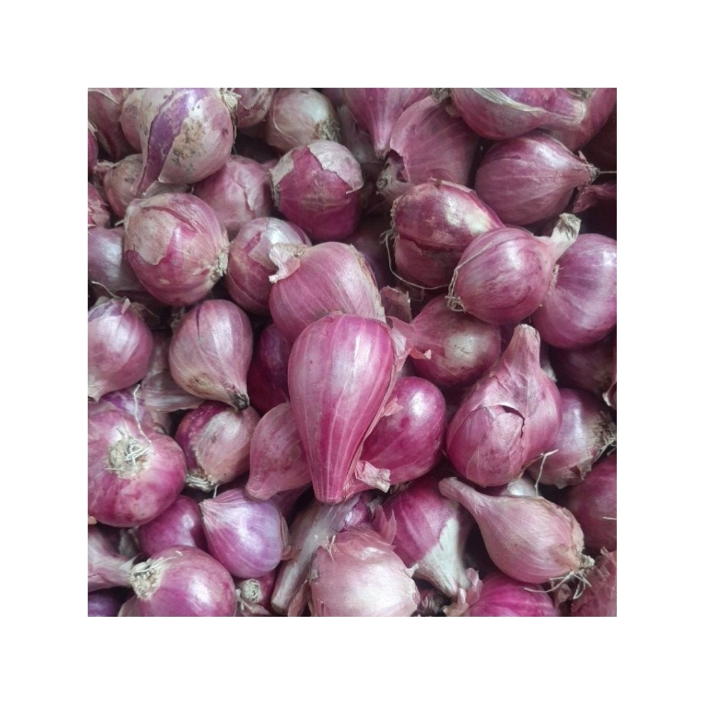 BAWANG MERAH BREBES BESAR  1Kg