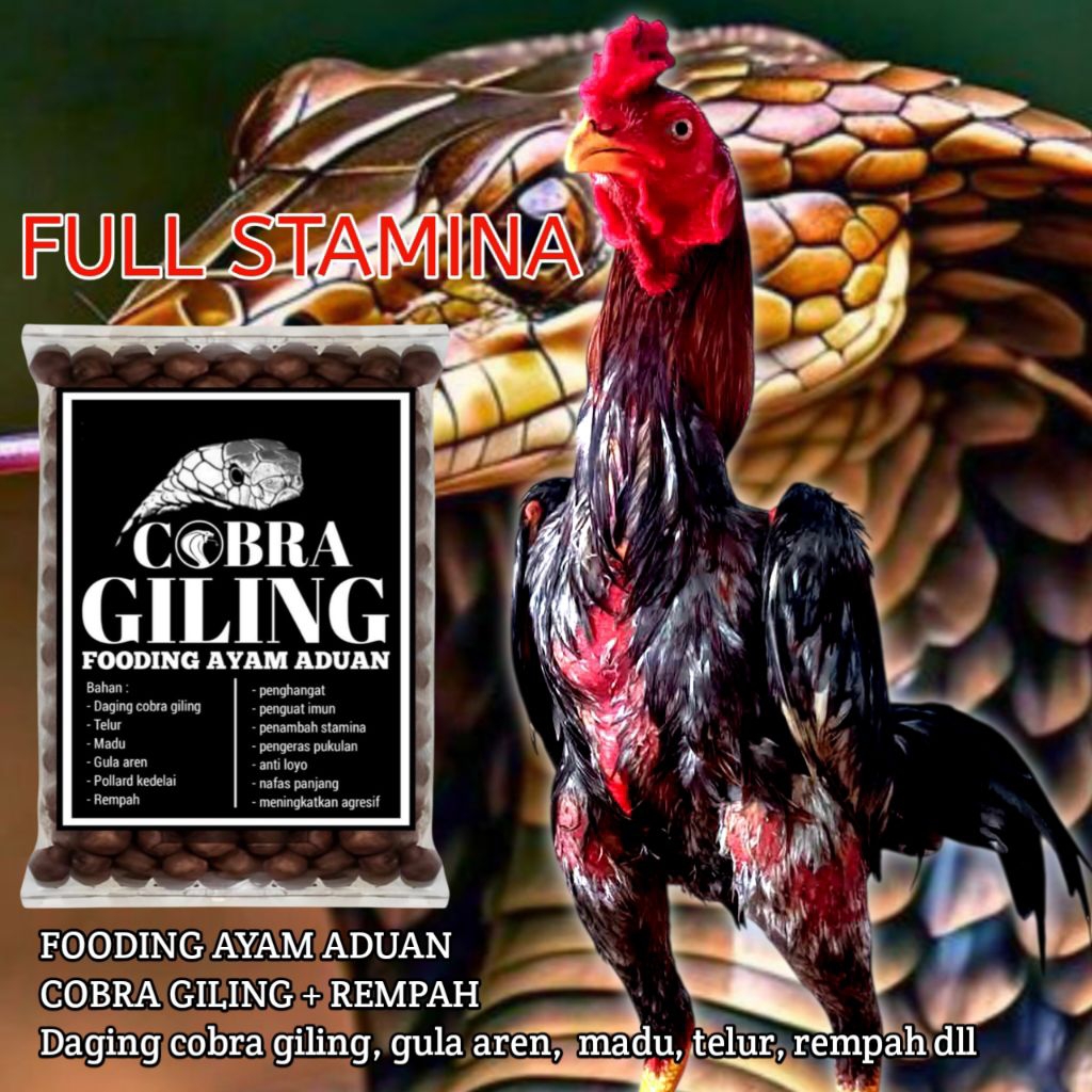 Cobra giling 100 gram doping stamina ayam Bangkok pukul