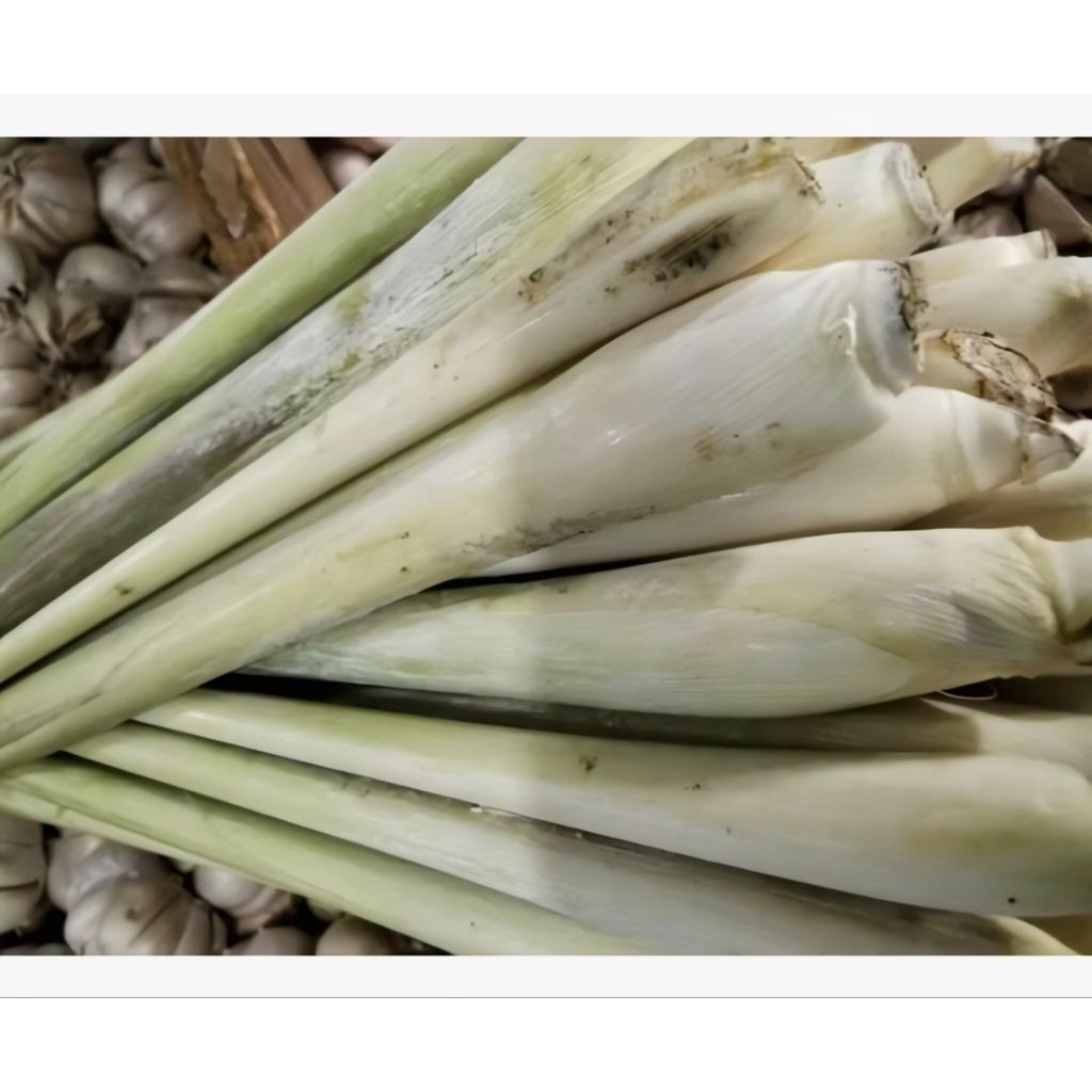 

SERAI SEREH SEGAR FRESH BUMBU DAPUR 1KG