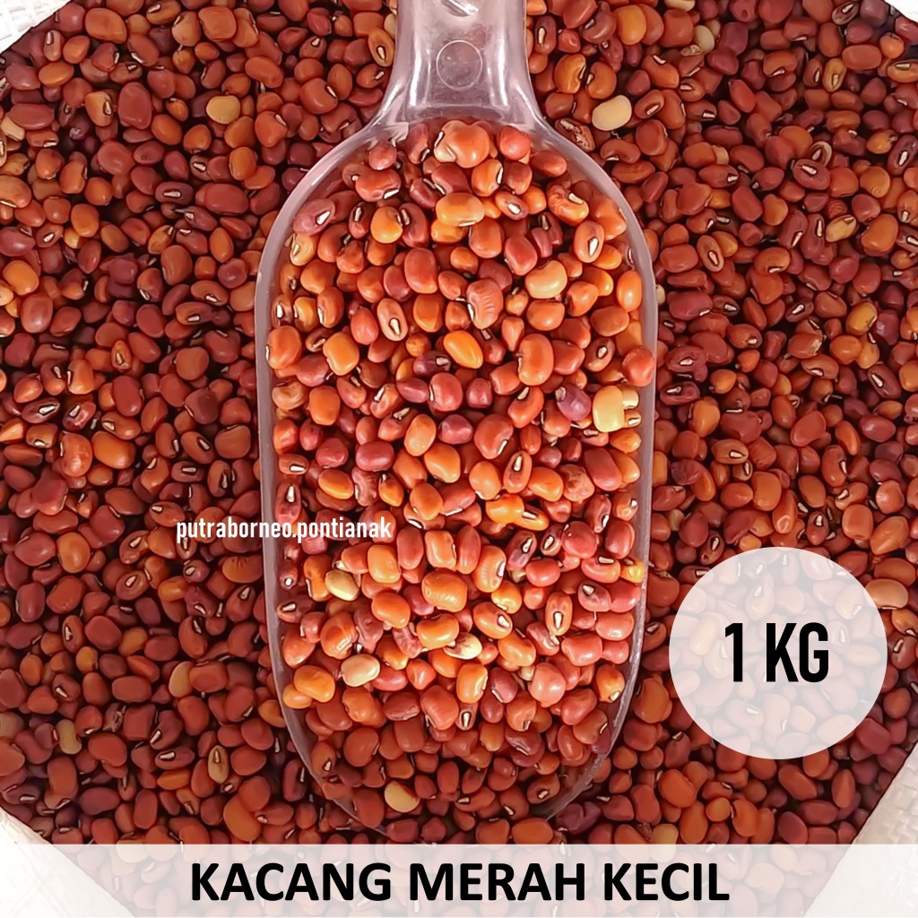 

Kacang Merah Kecil 1 kg Torupa / Kacang Es Merah / Small Red Bean / Bubur Kacang Merah
