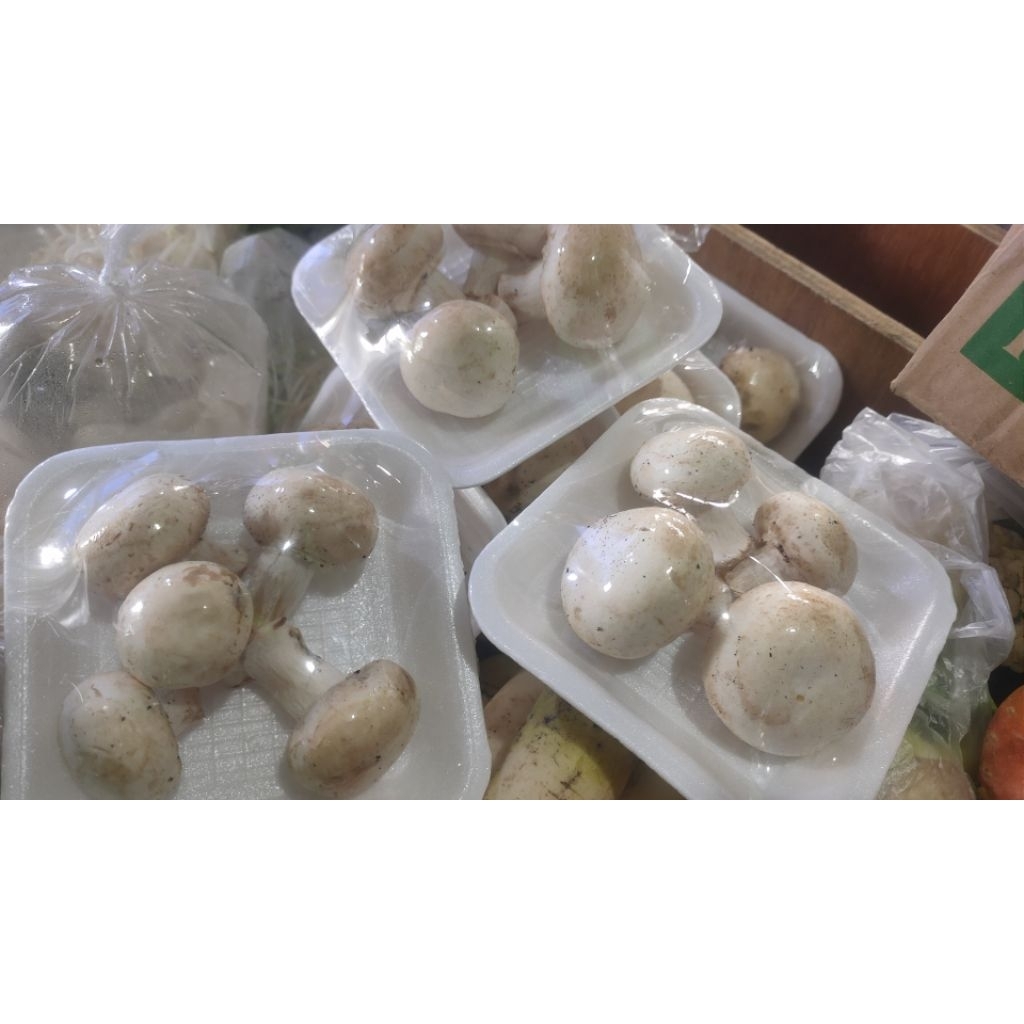 

INSTAN babycorn jamur kancing jagung muda