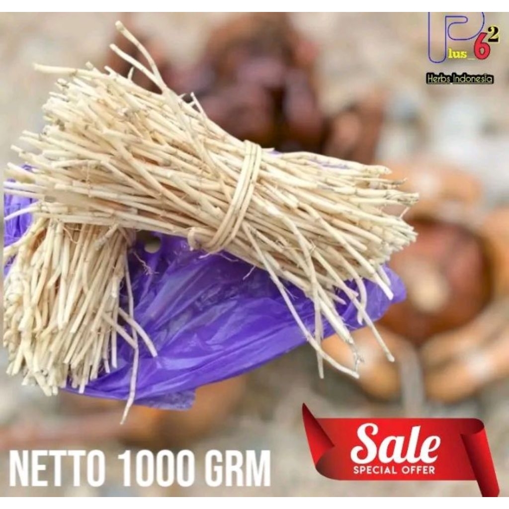

1 kg akar alang-alang segar suap rebus akar ilalang herbal alami
