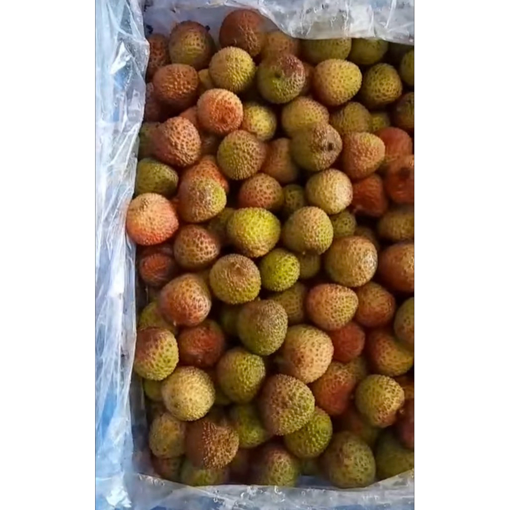 

cemilan kering