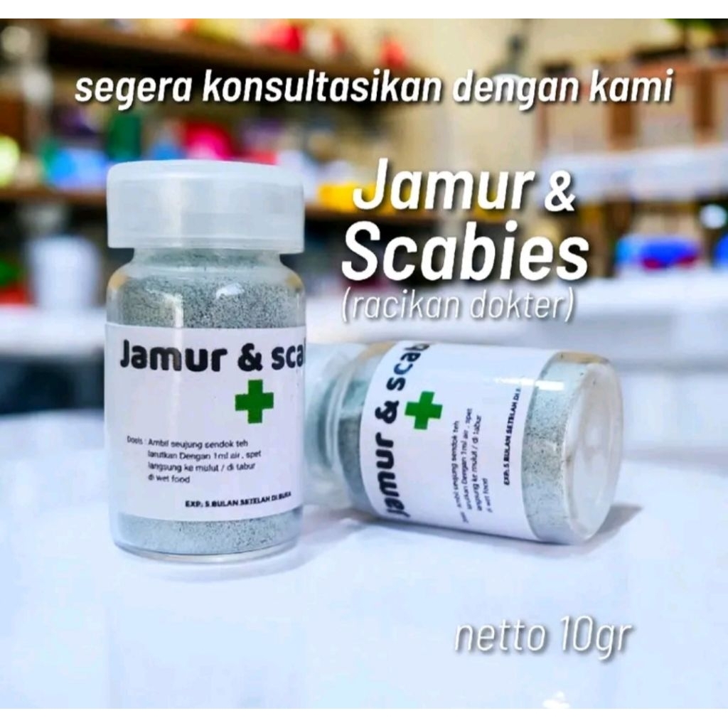 Obat Jamur kucing ampuh obat scabies kucing ampuh obat jamur scabies kucing ampuh obat jamur kucing 