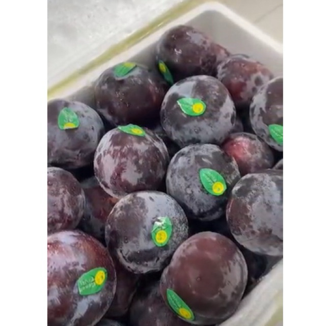 

Black Plum / Plum Import