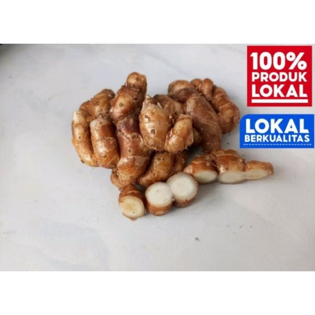 

kencur 1 kg kencur segar 1 kg asli pandeglang banten