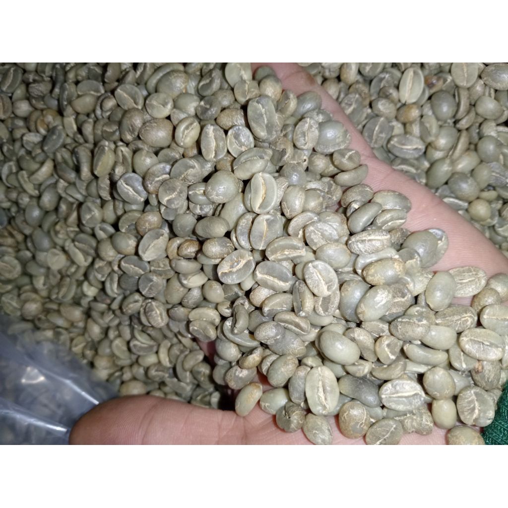 

Gren beand biji kopi Arabika wonosalam jombang proses full wash