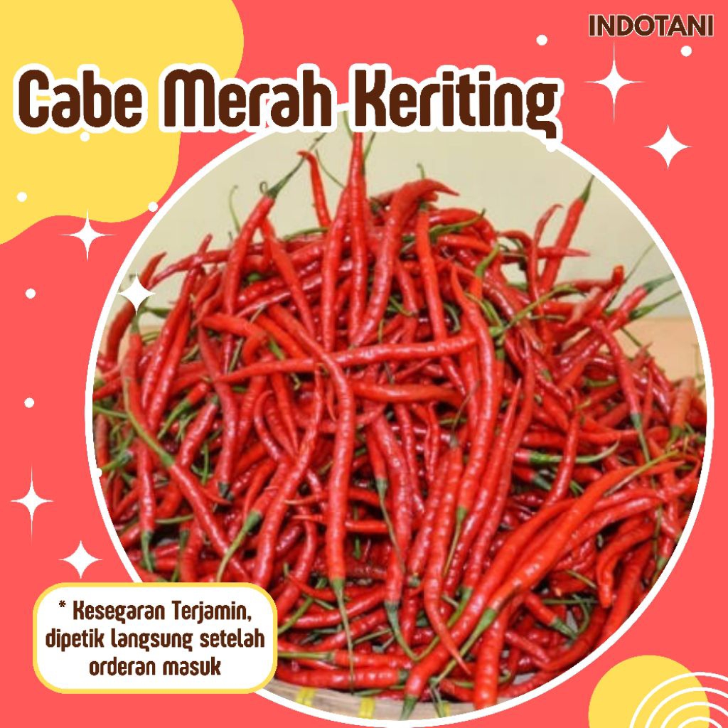 

INDOTANI_ Cabe Merah Keriting / Cabai Merah Segar