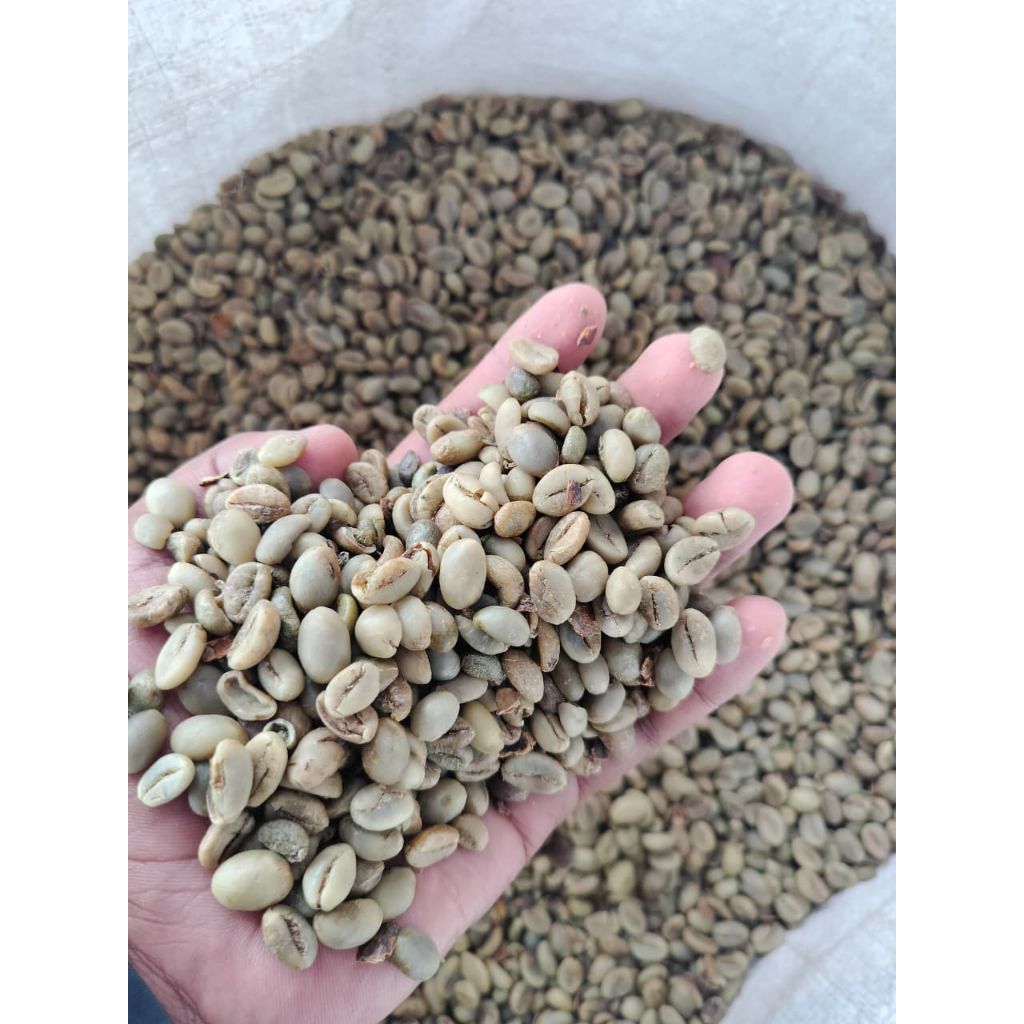 

Kopi_Rabusta_lereng_raung