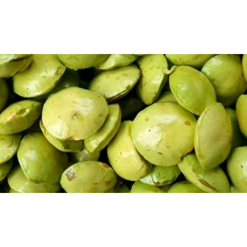 

jengkol muda 250g by pasar Tasik online