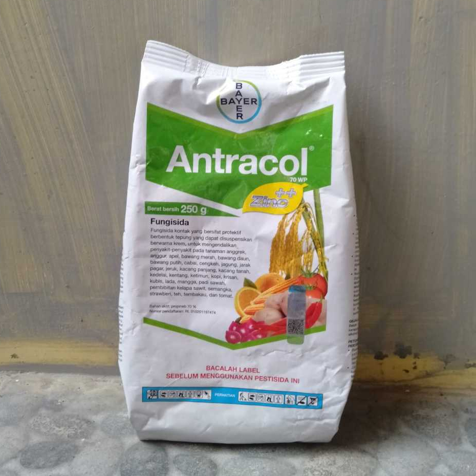 Fungisida Antracol 70 WP: Bahan aktif Propineb dan Zinc
