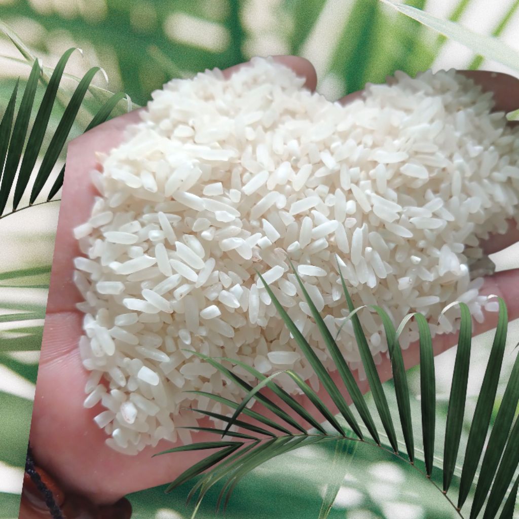 

Beras putih asli penggilingan 1 liter,beras kampung asli