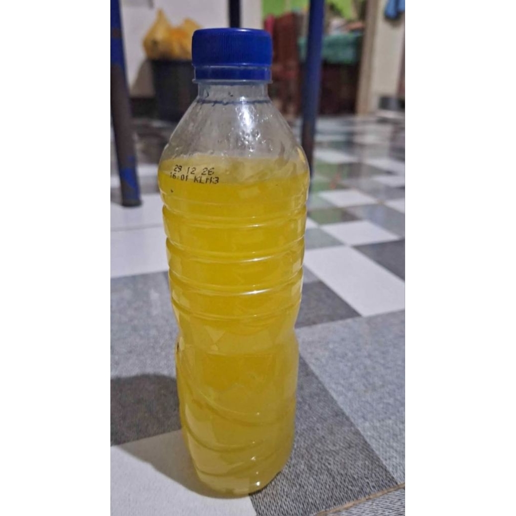 

minyak ayam kampuang asli tampa campuran
