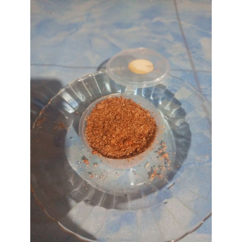 

uyahacan/cocolan mangga muda/cocolanrujak