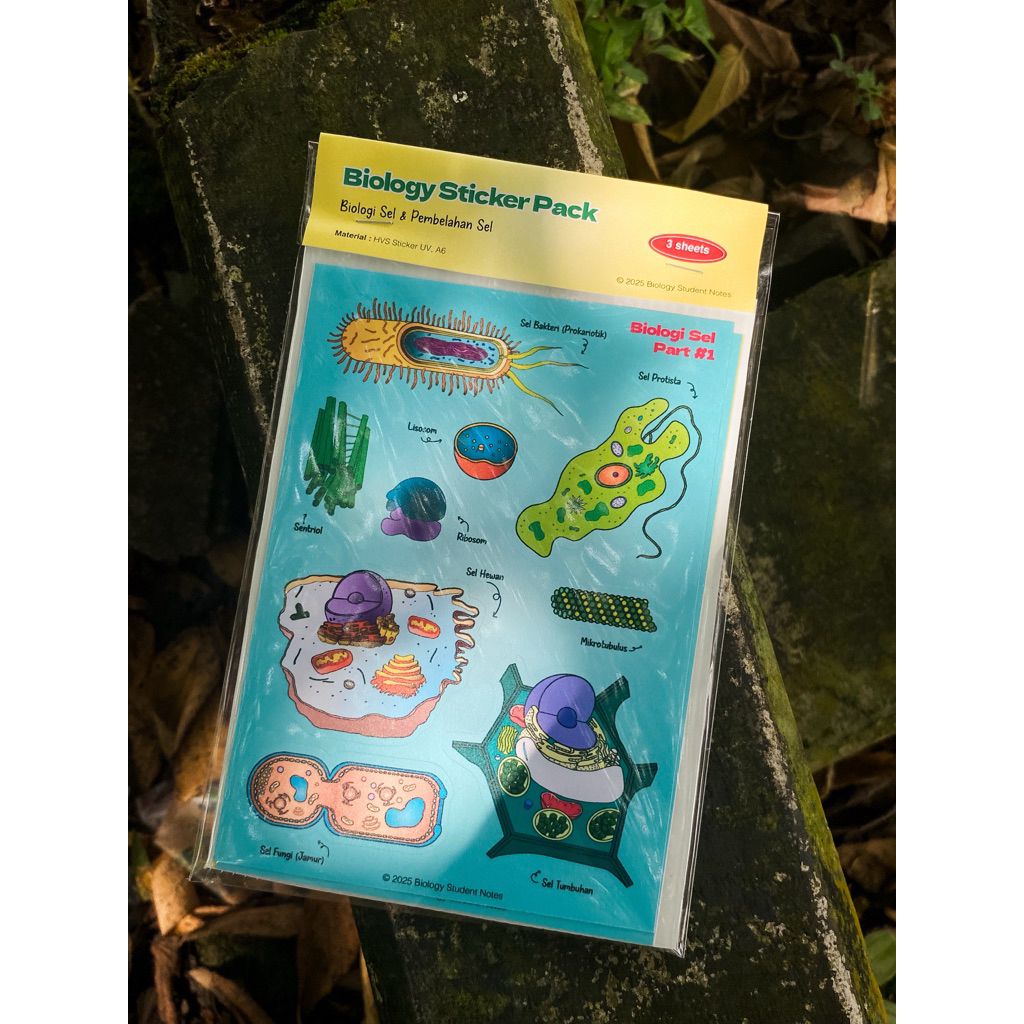 Biology Sticker Notes by Biology Student Notes