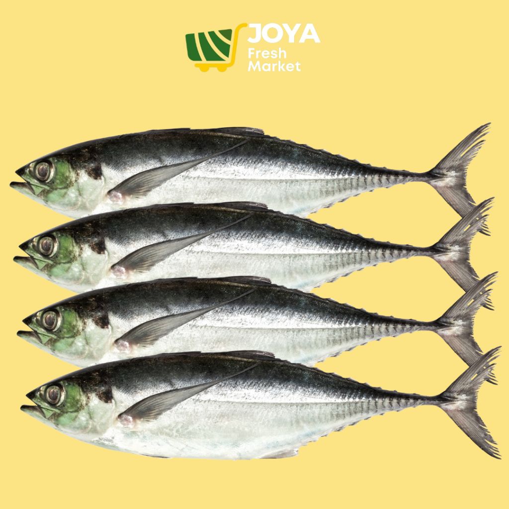 

Joya Fresh - Ikan Caru Segar/Seafood Segar/Ikan Cencaru Segar