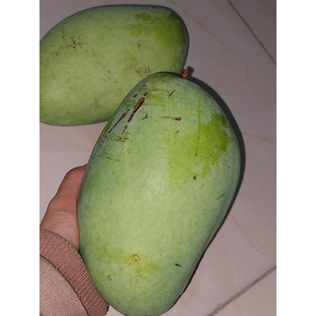 

mangga muda rujak renyah