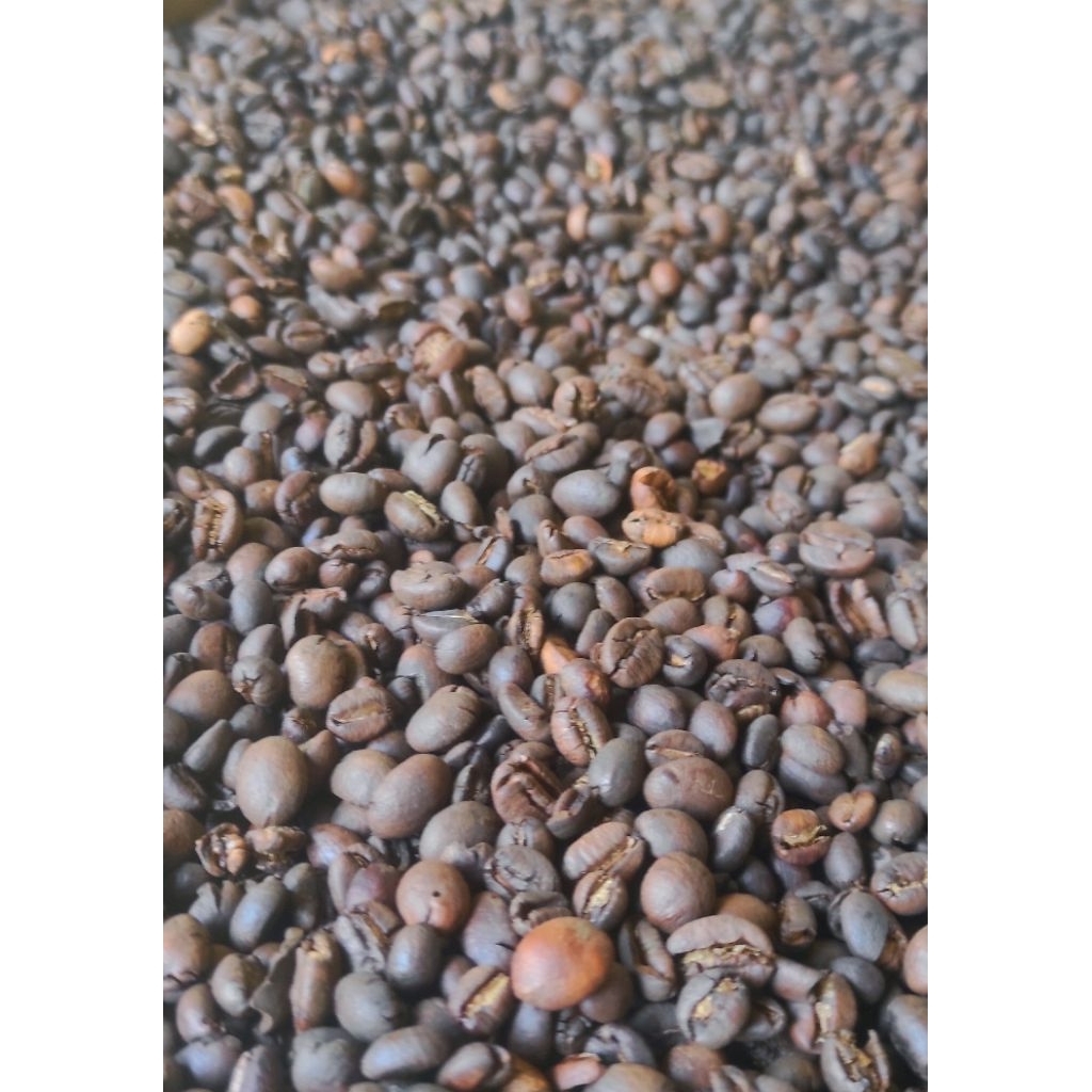 

Biji Kopi Roasting 500gr kualitas terbaik