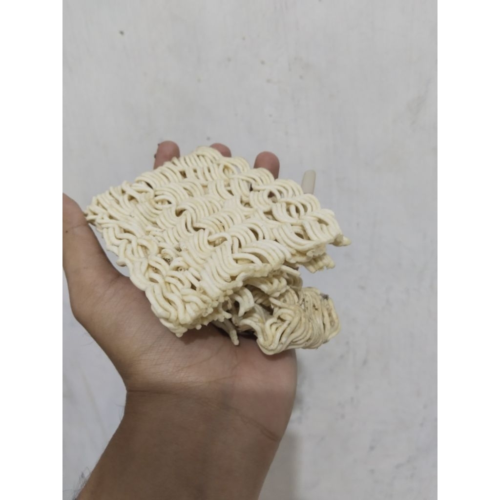 Mie Rijek Mie Pecah Mie BS Pakan Ayam Bebek Unggas Eceran 1kg (KEPING)