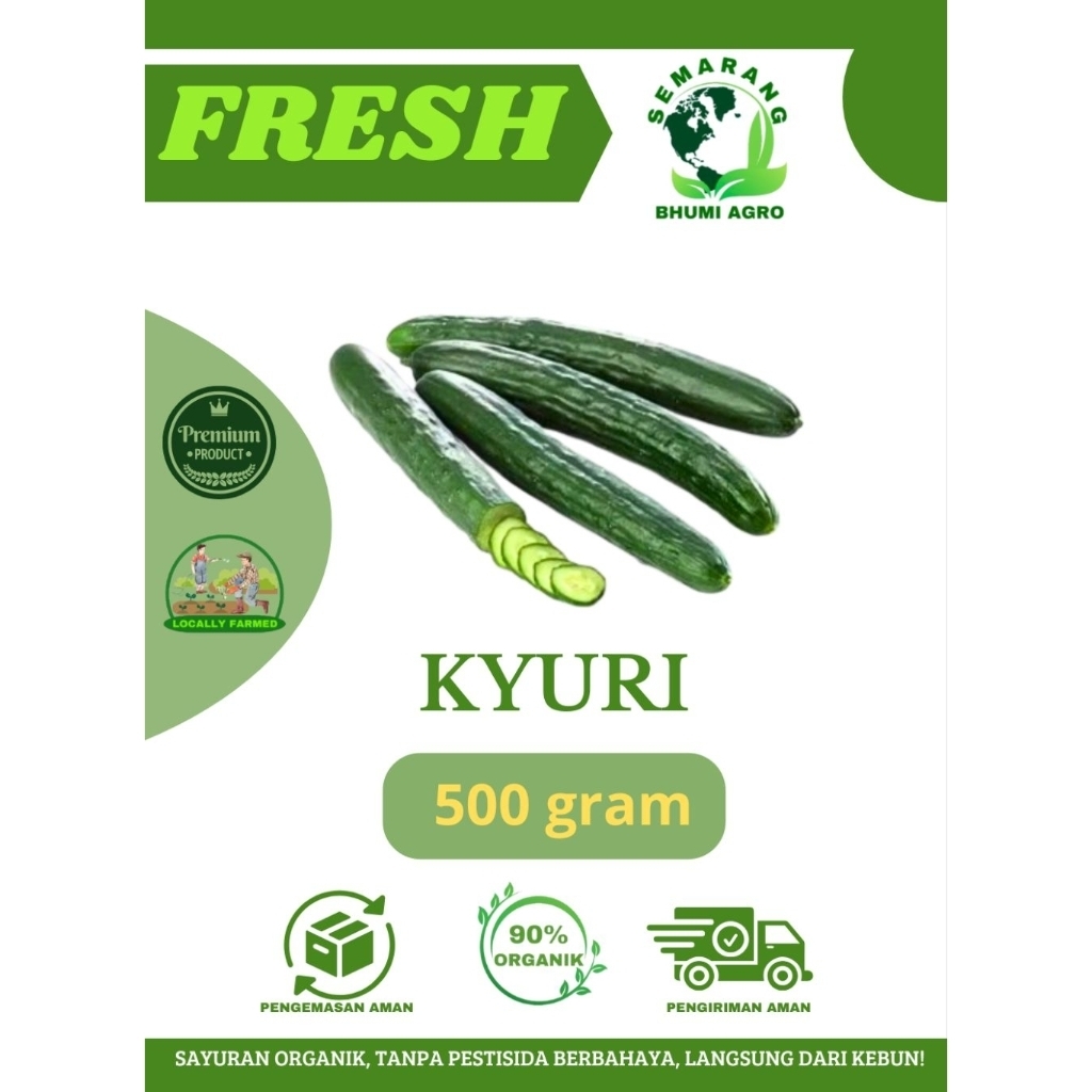 

Kyuri ( Timun Jepang ) Segar & Organik – 500gr | BHUMI AGRO