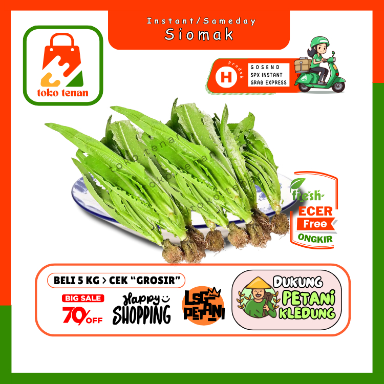 

Tokotenan // Siomak / Selada Wangi -- Sayur Gunung Ecer (H)
