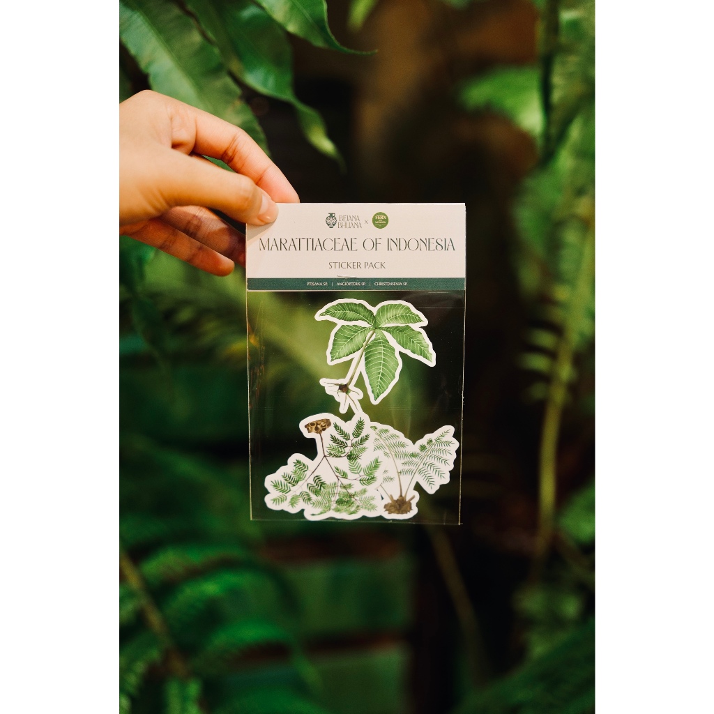 

Sticker Marattiaceae of Indonesia | Pakis Stiker | Fern | Bejana Bhuana Merchandise
