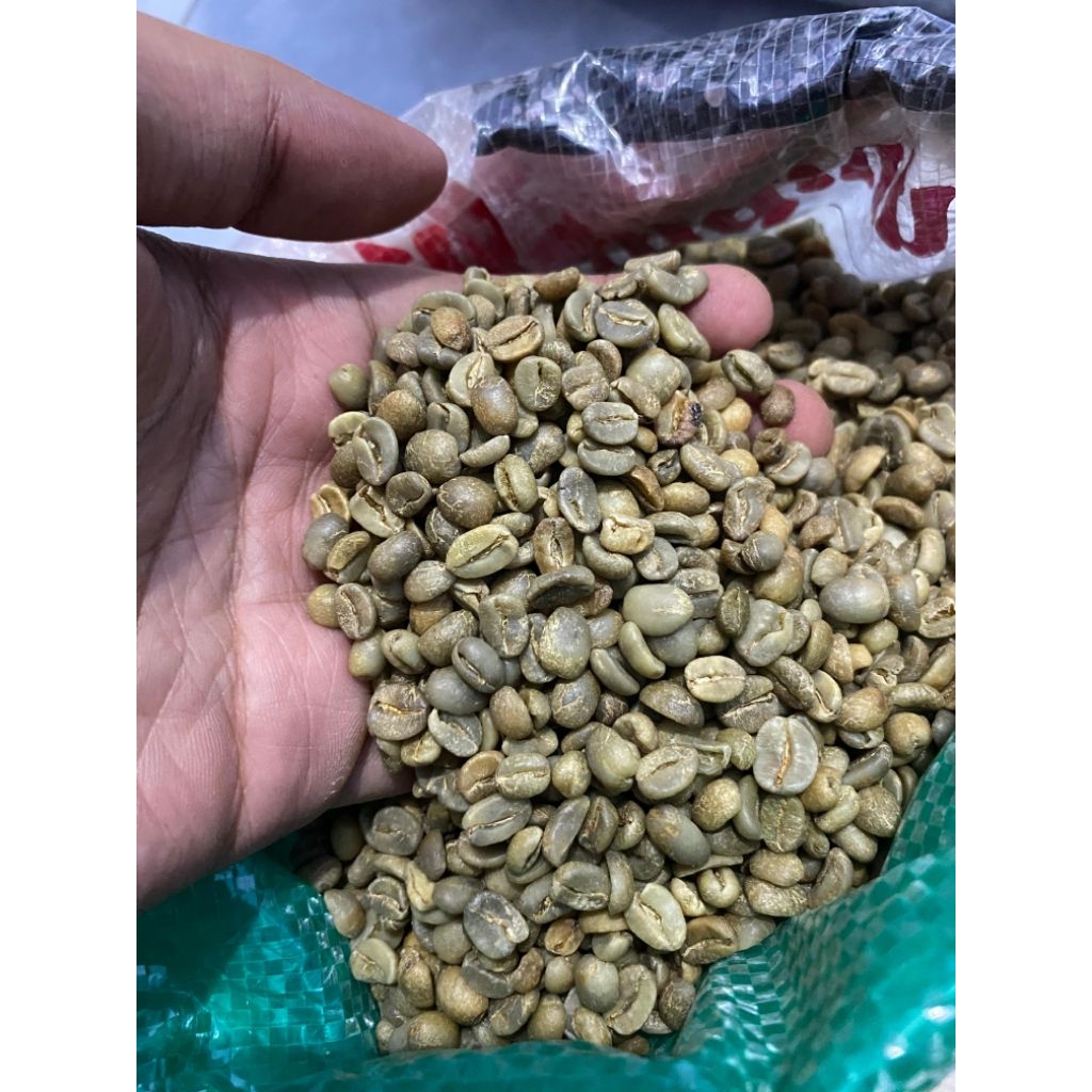 

Green Bean Arabika Semeru 1kg | Temporal Coffee Company