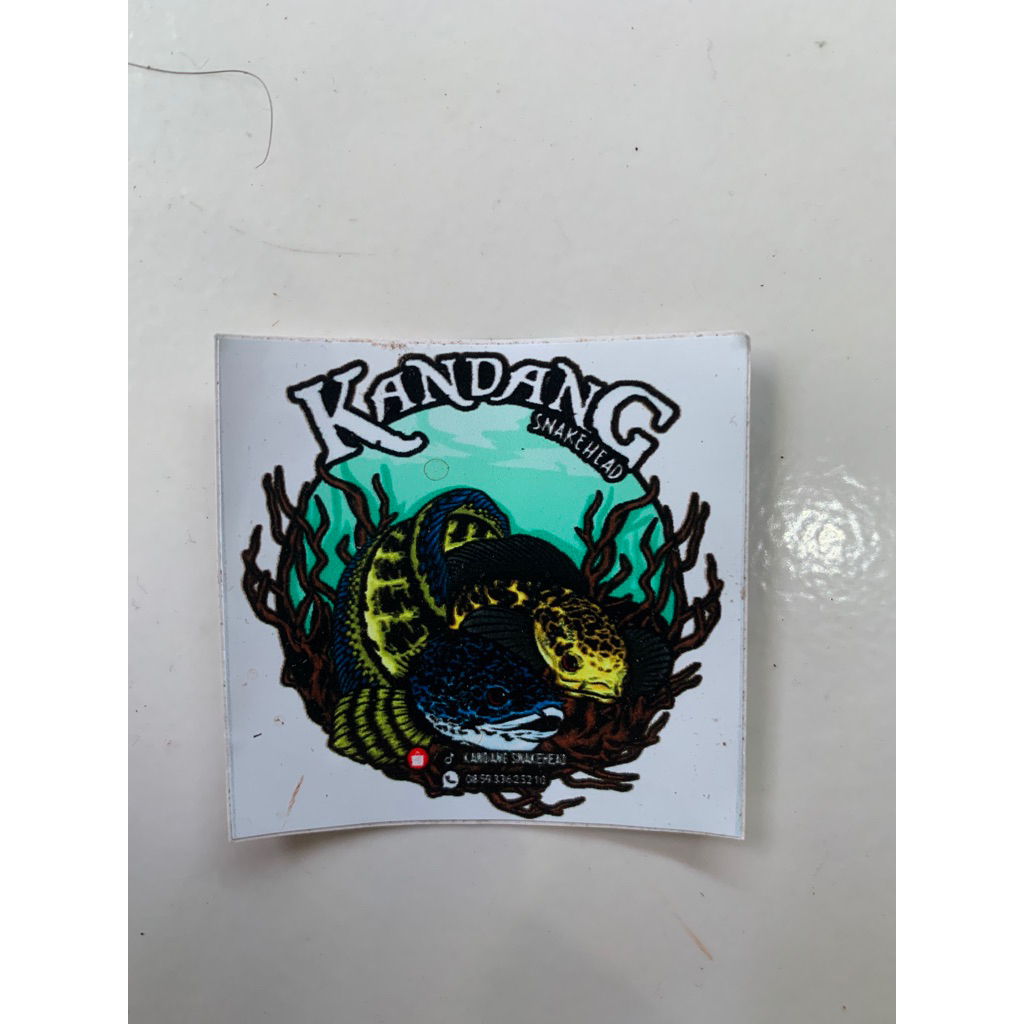 

STIKER MARU ISTIMEWA 250K