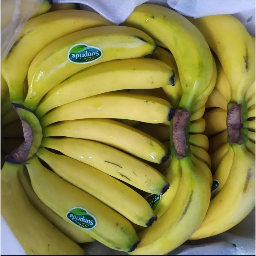 

Pisang Cavendish 1kg / kondisi masih hijau dan Fresh