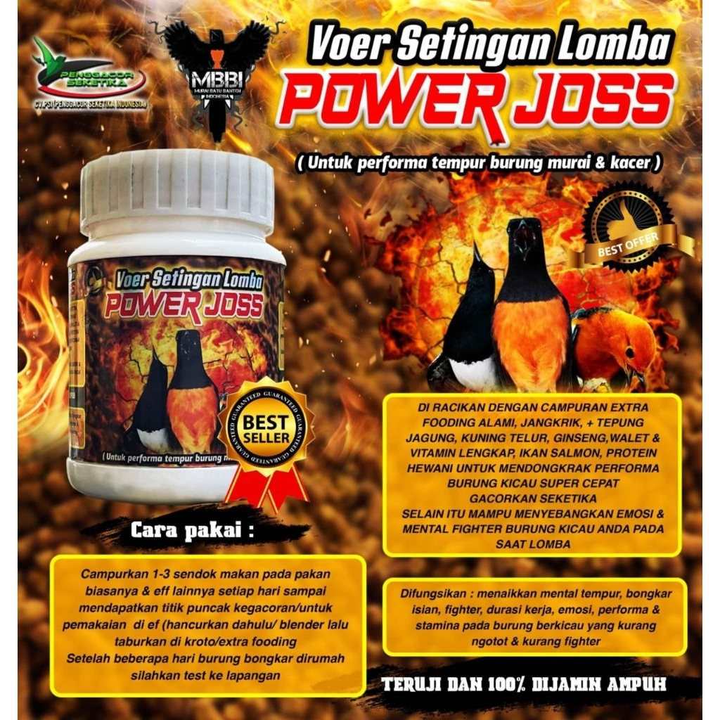 VOER SETINGAN LOMBA BURUNG MURAI DAN KACER