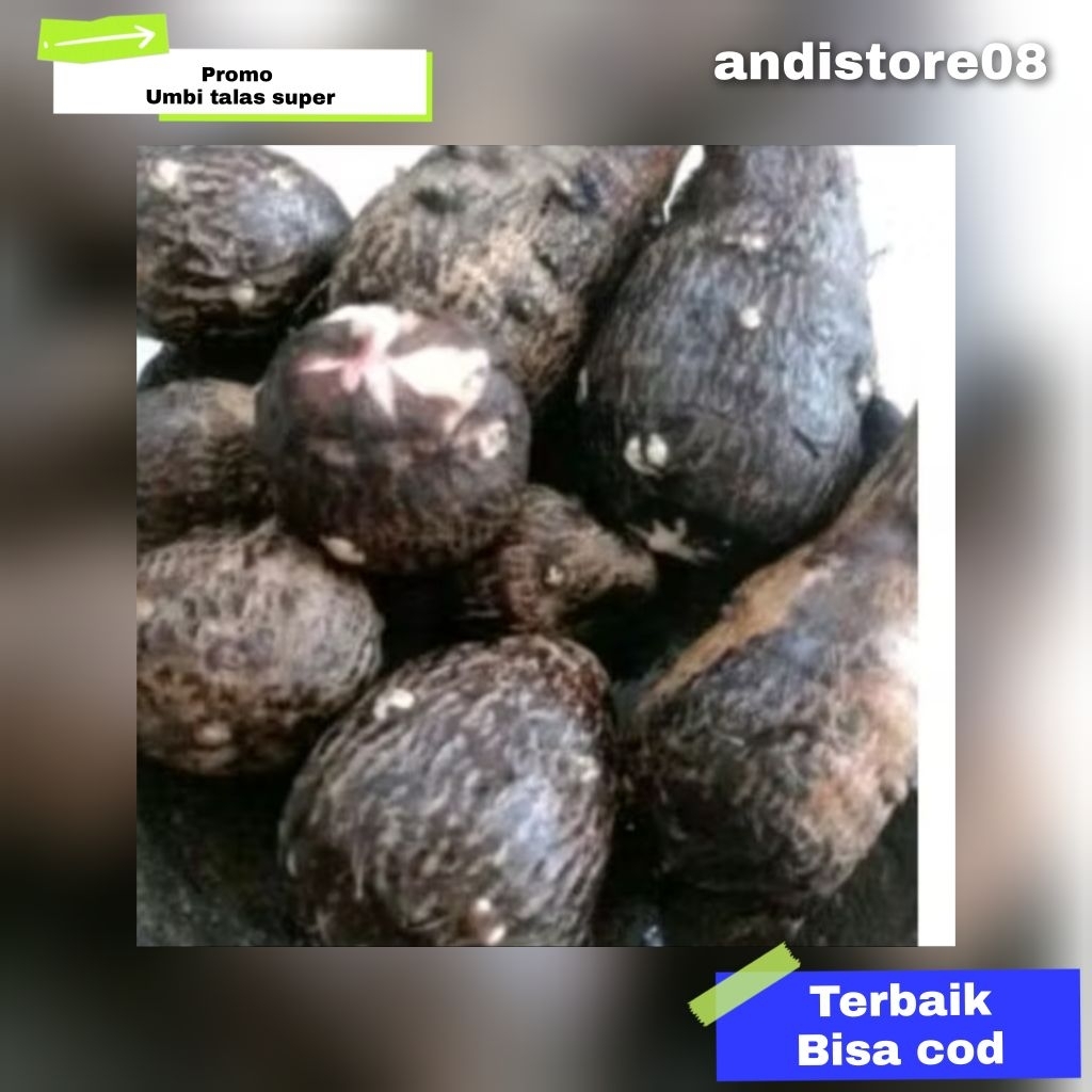 

umbi talas super buat bikin kripik 1 kg