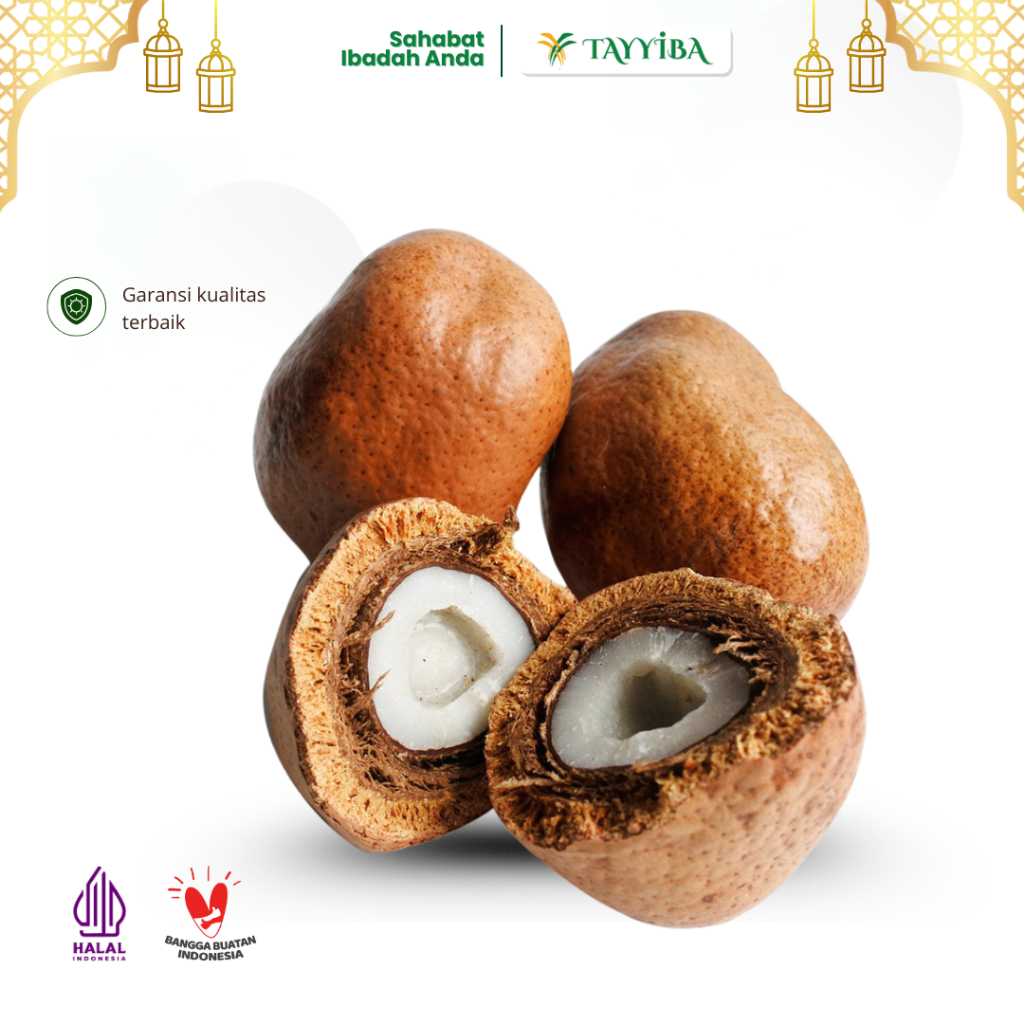 

Buah Zuriat | Buah Zuhriat | Buah untuk Promil Asli Kemasan 250g