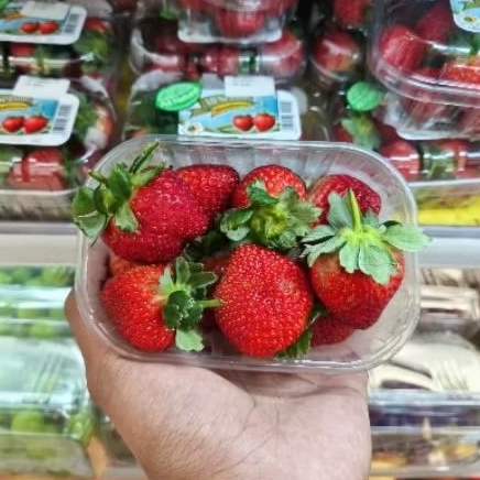 

Buah strawberry all season super natural premium pack
