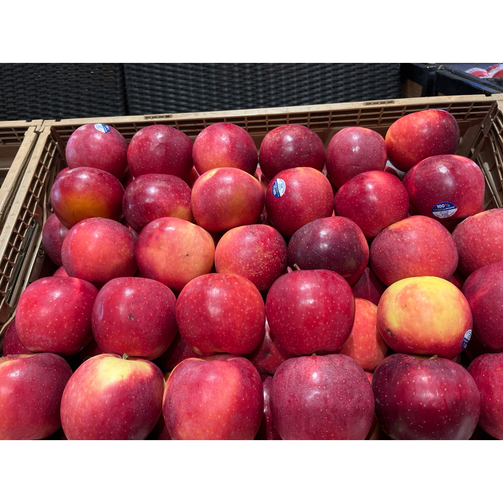 

APEL PASIFIC ROSE NZ 900-1000gr