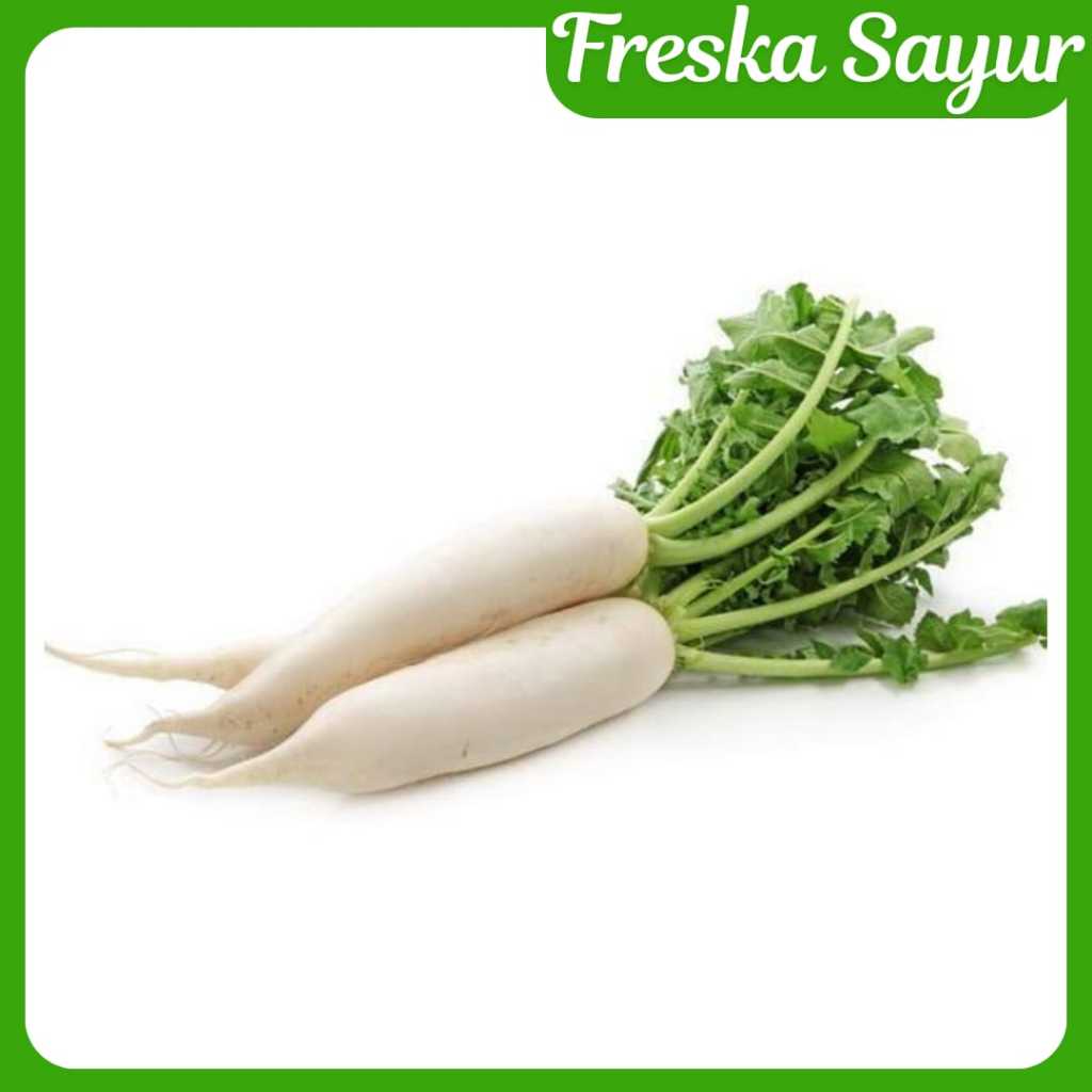 

Lobak 1 kg I Bersih & Fresh